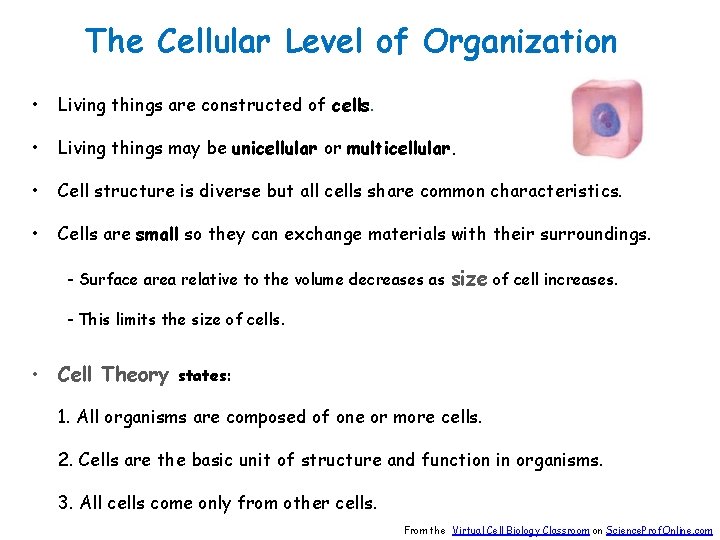 The Cellular Level of Organization • Living things are constructed of cells. • Living