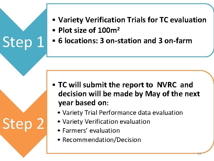 Step 1 • Variety Verification Trials for TC evaluation • Plot size of 100