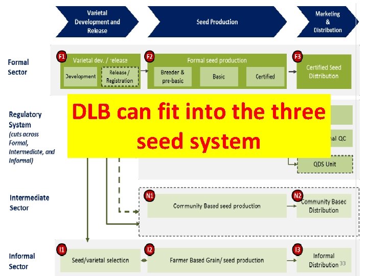 DLB can fit into the three seed system 33 