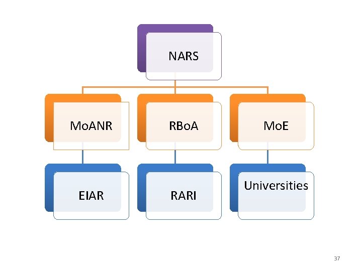 NARS Mo. ANR EIAR RBo. A RARI Mo. E Universities 37 