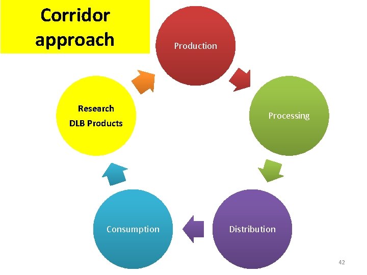 Corridor approach Research DLB Products Consumption Production Processing Distribution 42 