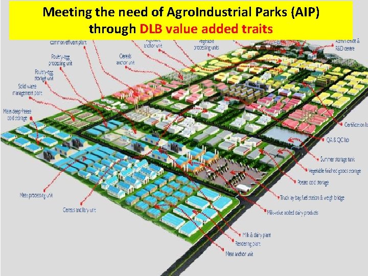 Meeting the need of Agro. Industrial Parks (AIP) through DLB value added traits 43