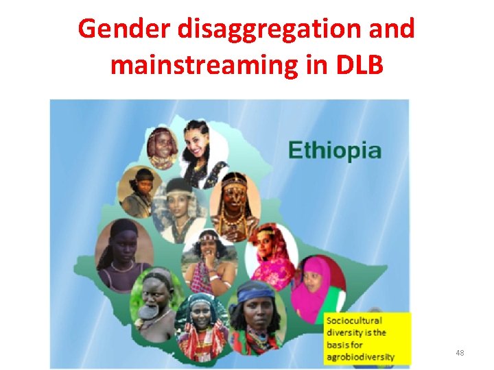 Gender disaggregation and mainstreaming in DLB 48 