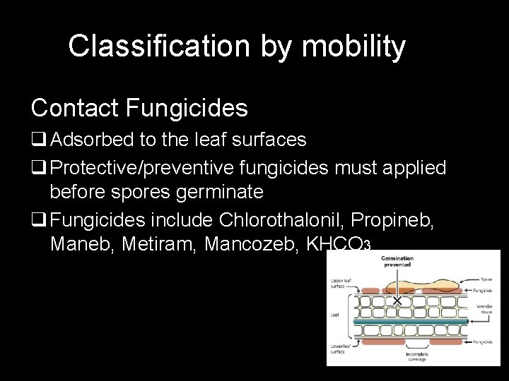 Classification by mobility Contact Fungicides q Adsorbed to the leaf surfaces q Protective/preventive fungicides