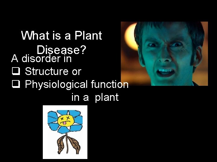 What is a Plant Disease? A disorder in q Structure or q Physiological function