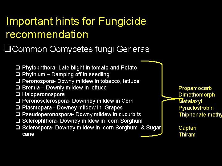 Important hints for Fungicide recommendation q. Common Oomycetes fungi Generas q q q q