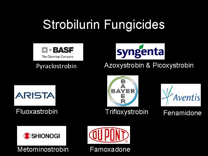 Strobilurin Fungicides Pyraclostrobin Fluoxastrobin Metominostrobin Azoxystrobin & Picoxystrobin Trifloxystrobin Famoxadone Fenamidone 