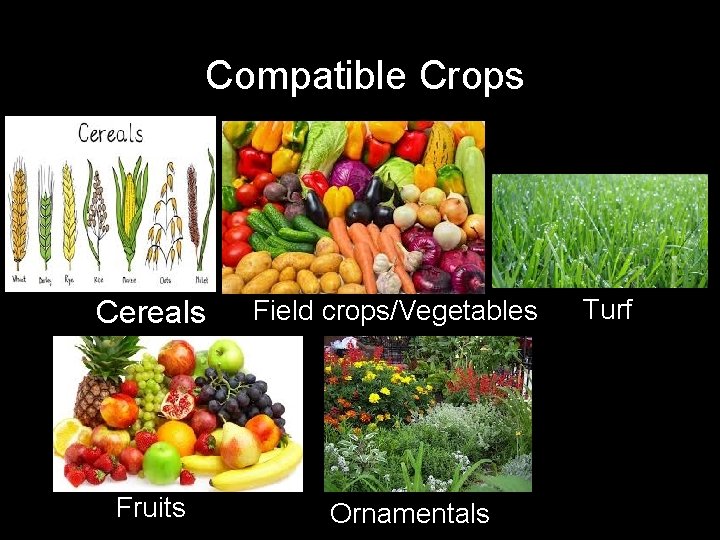 Compatible Crops Cereals Fruits Field crops/Vegetables Ornamentals Turf 