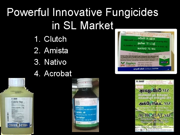 Powerful Innovative Fungicides in SL Market 1. 2. 3. 4. Clutch Amista Nativo Acrobat