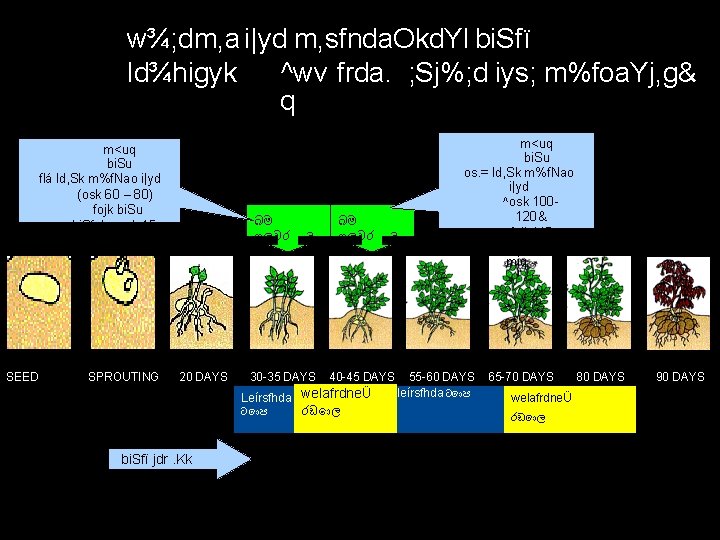w¾; dm, a i|yd m, sfnda. Okd. Yl bi. Sfï ld¾higyk ^wv frda. ;