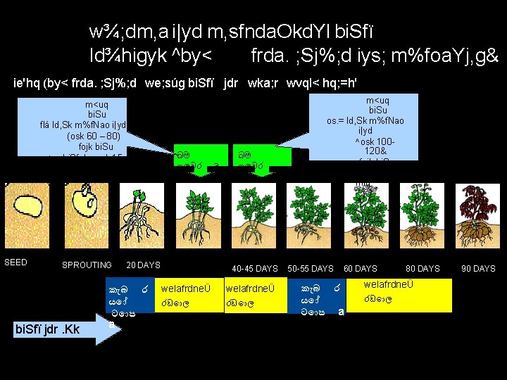 w¾; dm, a i|yd m, sfnda. Okd. Yl bi. Sfï ld¾higyk ^by< frda. ;
