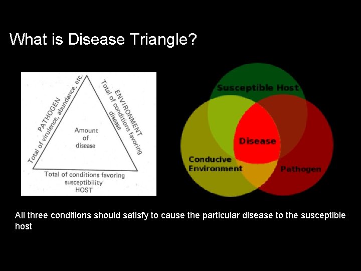 What is Disease Triangle? ¾ All three conditions should satisfy to cause the particular