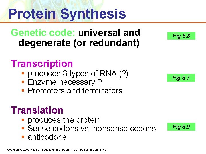 Protein Synthesis Genetic code: universal and degenerate (or redundant) Fig 8. 8 Transcription §