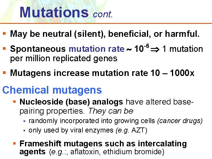 Mutations cont. § May be neutral (silent), beneficial, or harmful. § Spontaneous mutation rate