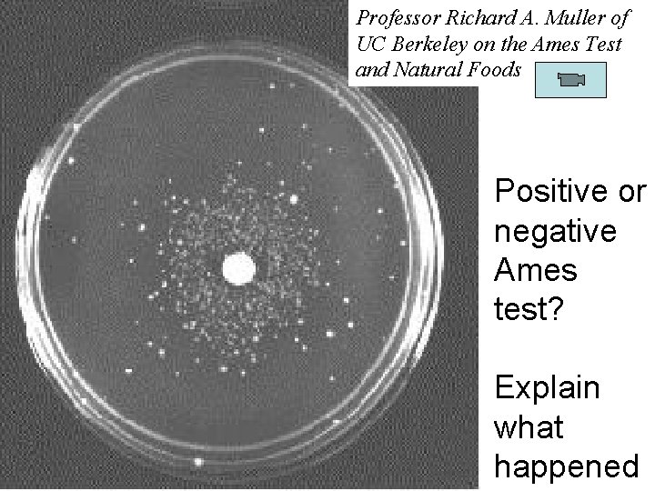 Professor Richard A. Muller of UC Berkeley on the Ames Test and Natural Foods