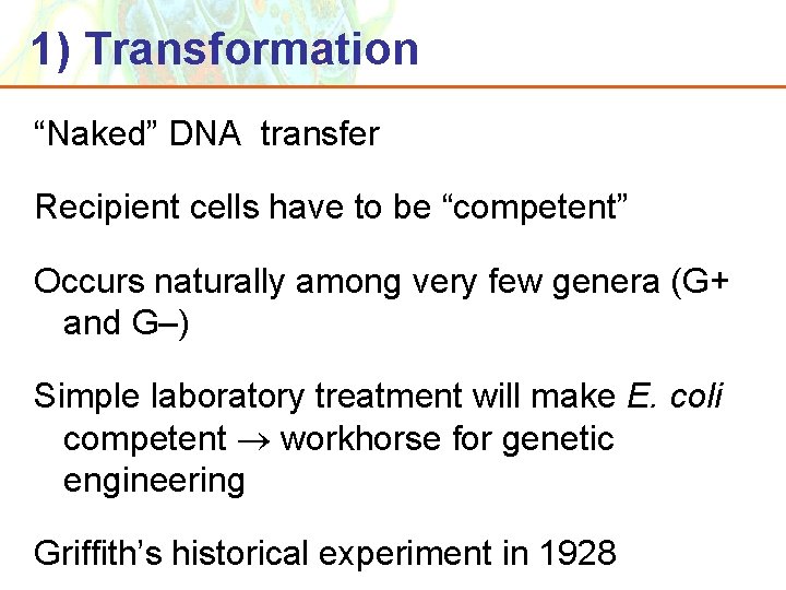 1) Transformation “Naked” DNA transfer Recipient cells have to be “competent” Occurs naturally among