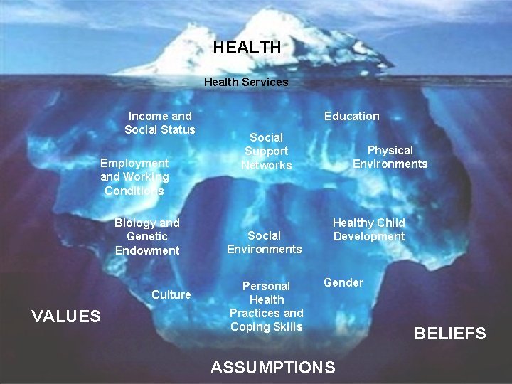 HEALTH Health Services Income and Social Status Employment and Working Conditions Biology and Genetic