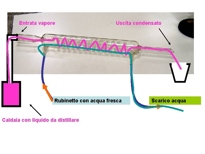 Entrata vapore Uscita condensato Rubinetto con acqua fresca Caldaia con liquido da distillare Scarico