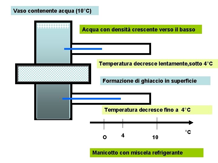 Vaso contenente acqua (10°C) Acqua con densità crescente verso il basso Temperatura decresce lentamente,