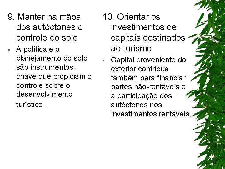 9. Manter na mãos dos autóctones o controle do solo § A política e