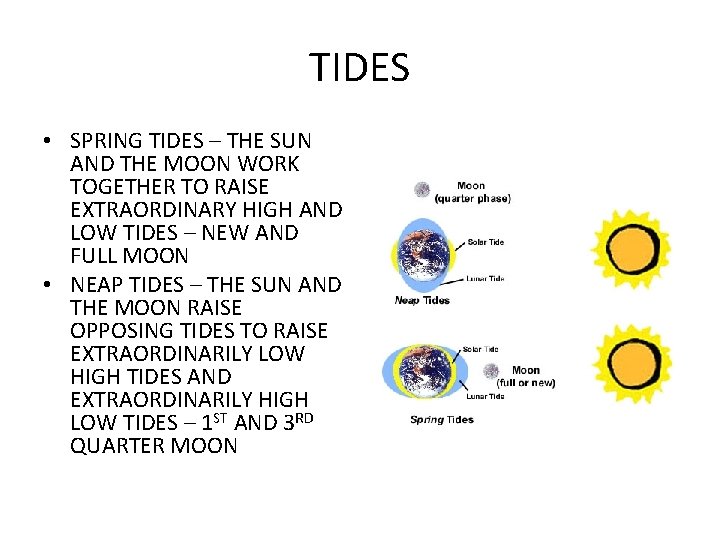 TIDES • SPRING TIDES – THE SUN AND THE MOON WORK TOGETHER TO RAISE