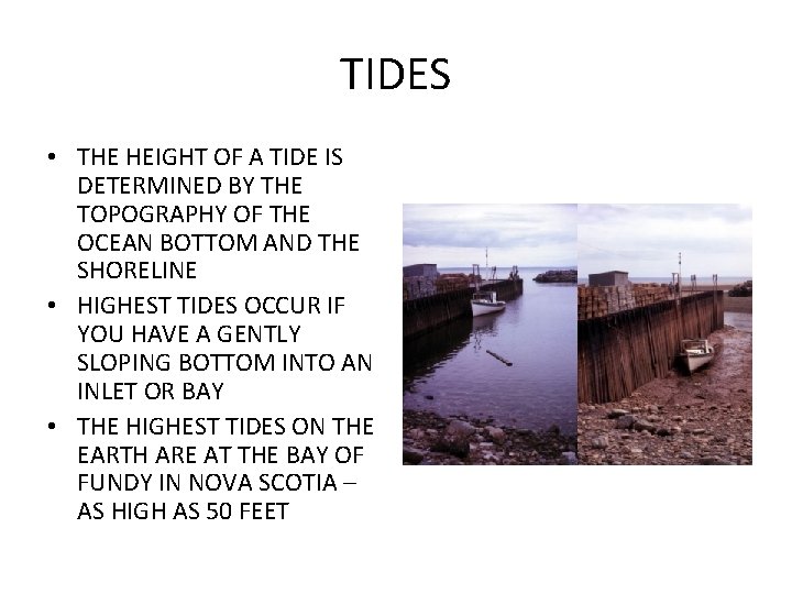 TIDES • THE HEIGHT OF A TIDE IS DETERMINED BY THE TOPOGRAPHY OF THE