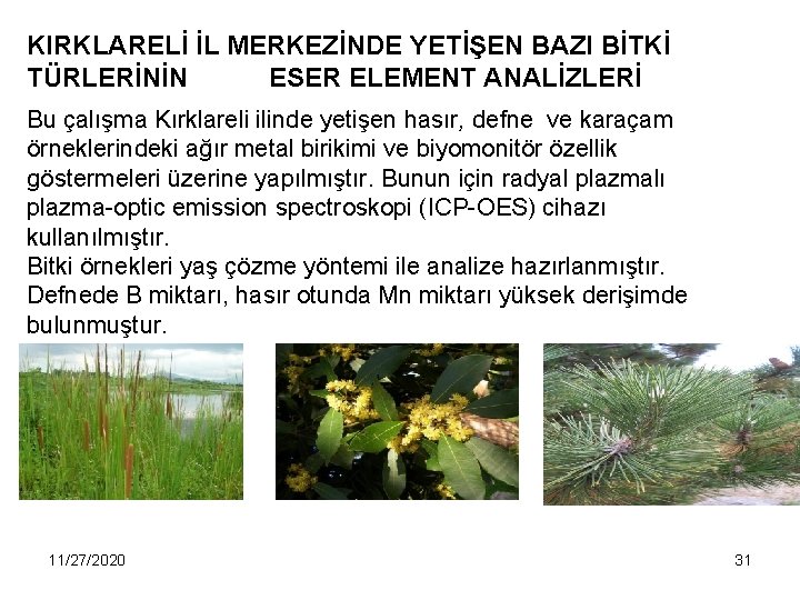 KIRKLARELİ İL MERKEZİNDE YETİŞEN BAZI BİTKİ TÜRLERİNİN ESER ELEMENT ANALİZLERİ Bu çalışma Kırklareli ilinde