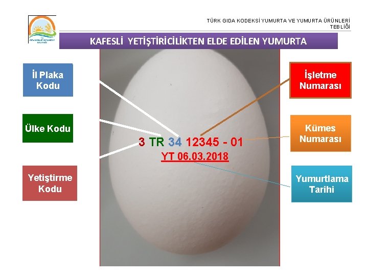 TÜRK GIDA KODEKSİ YUMURTA VE YUMURTA ÜRÜNLERİ TEBLİĞİ KAFESLİ YETİŞTİRİCİLİKTEN ELDE EDİLEN YUMURTA İl