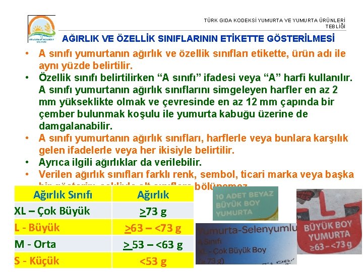 TÜRK GIDA KODEKSİ YUMURTA VE YUMURTA ÜRÜNLERİ TEBLİĞİ AĞIRLIK VE ÖZELLİK SINIFLARININ ETİKETTE GÖSTERİLMESİ