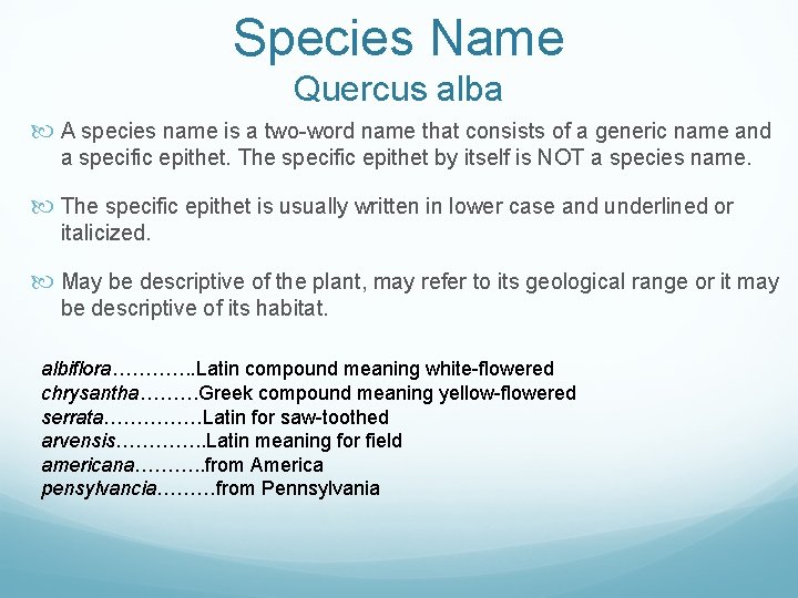 Species Name Quercus alba A species name is a two-word name that consists of