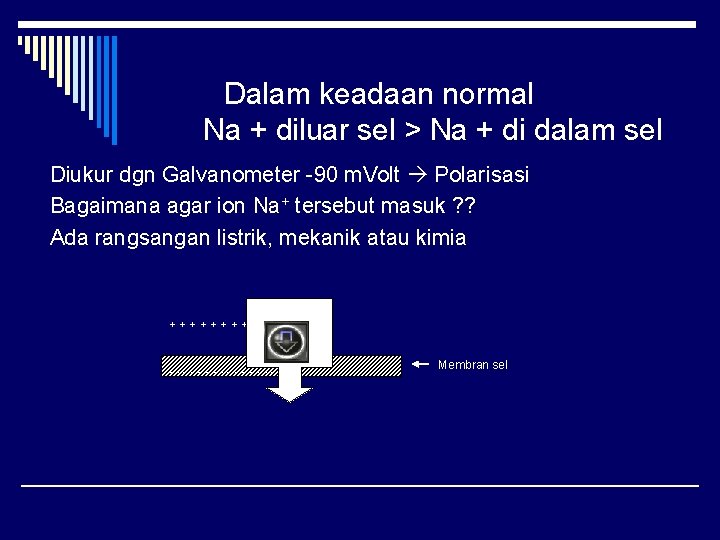 Dalam keadaan normal Na + diluar sel > Na + di dalam sel Diukur