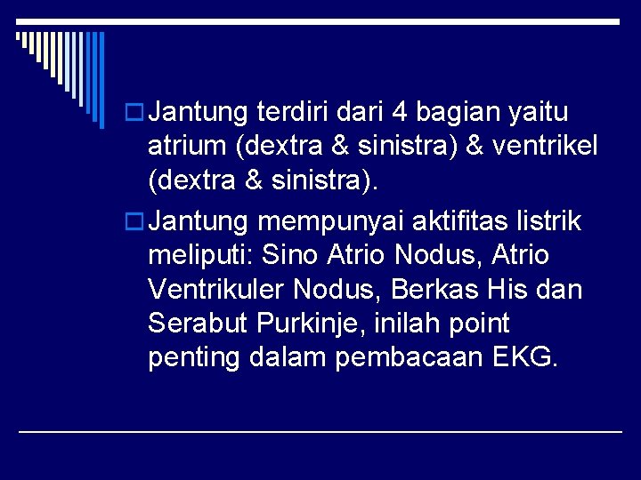 o Jantung terdiri dari 4 bagian yaitu atrium (dextra & sinistra) & ventrikel (dextra