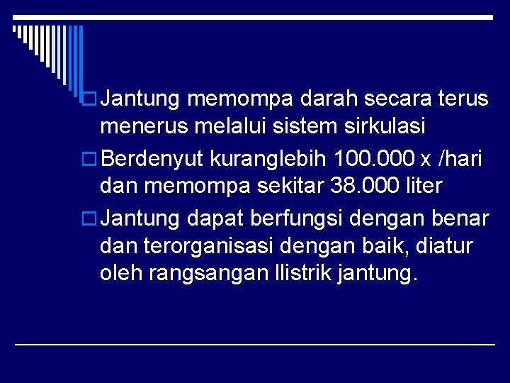 o Jantung memompa darah secara terus menerus melalui sistem sirkulasi o Berdenyut kuranglebih 100.