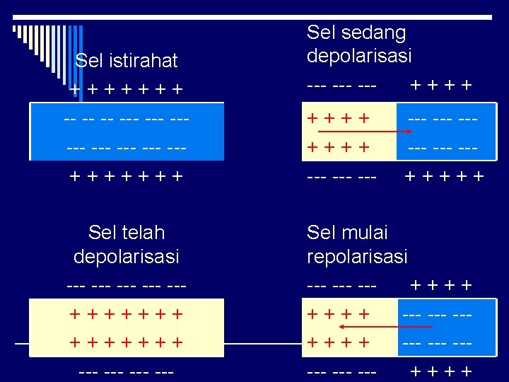 Sel istirahat + + + + -- --- ----- --- --+ + + +