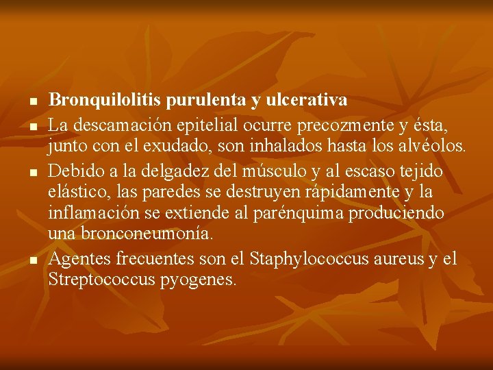n n Bronquilolitis purulenta y ulcerativa La descamación epitelial ocurre precozmente y ésta, junto