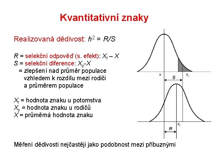 Kvantitativní znaky Realizovaná dědivost: h 2 = R/S R = selekční odpověď (s. efekt):