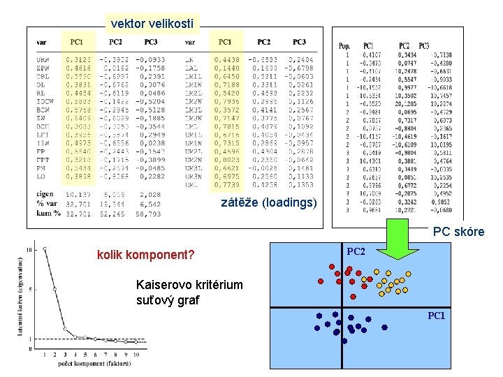 vektor velikosti zátěže (loadings) PC skóre kolik komponent? PC 2 Kaiserovo kritérium suťový graf