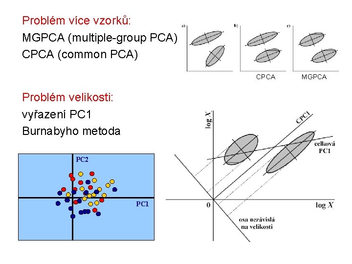 Problém více vzorků: MGPCA (multiple-group PCA) CPCA (common PCA) CPCA Problém velikosti: vyřazení PC