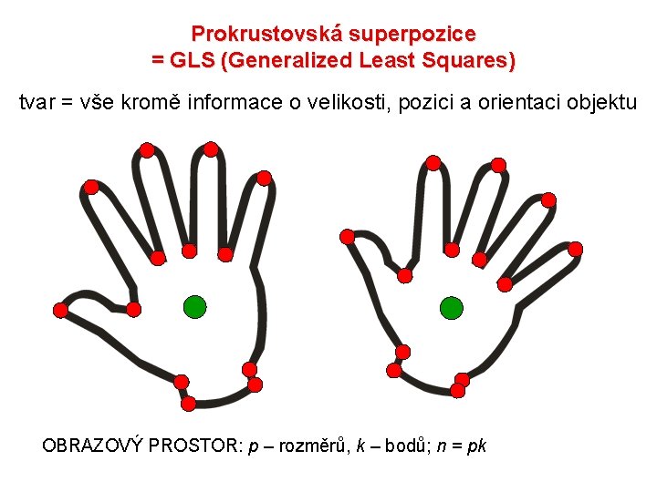 Prokrustovská superpozice = GLS (Generalized Least Squares) tvar = vše kromě informace o velikosti,