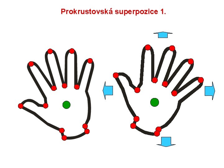 Prokrustovská superpozice 1. 