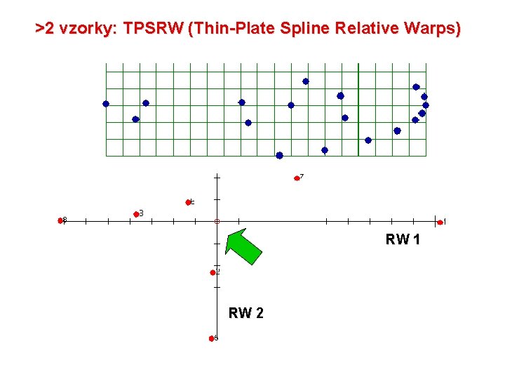 >2 vzorky: TPSRW (Thin-Plate Spline Relative Warps) RW 1 RW 2 