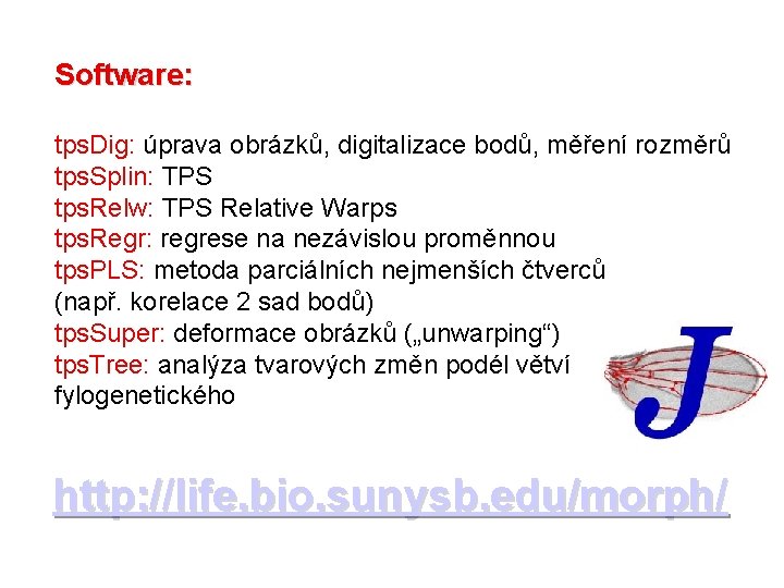 Software: tps. Dig: úprava obrázků, digitalizace bodů, měření rozměrů tps. Splin: TPS tps. Relw: