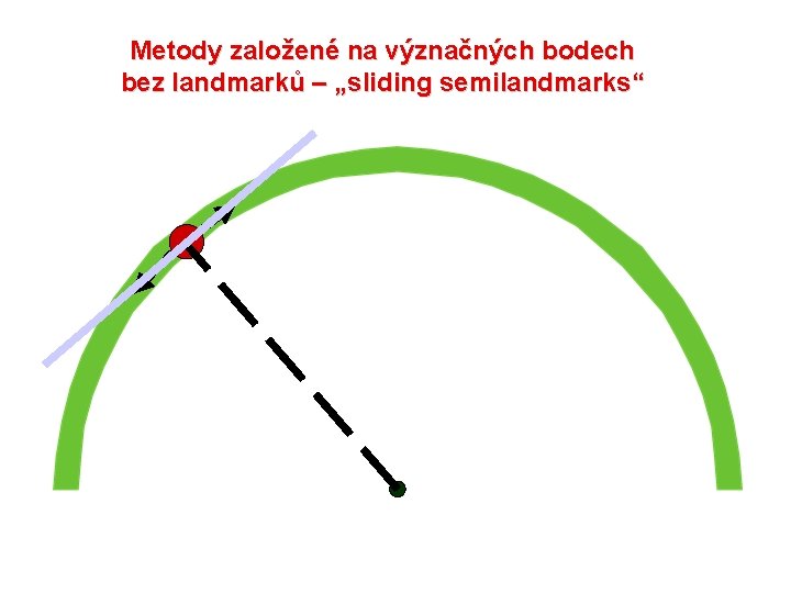 Metody založené na význačných bodech bez landmarků – „sliding semilandmarks“ 