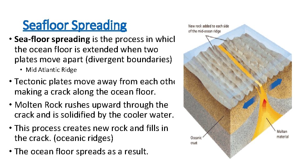 Seafloor Spreading • Sea-floor spreading is the process in which the ocean floor is