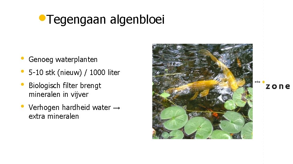  • Tegengaan algenbloei • • • Genoeg waterplanten • Verhogen hardheid water →