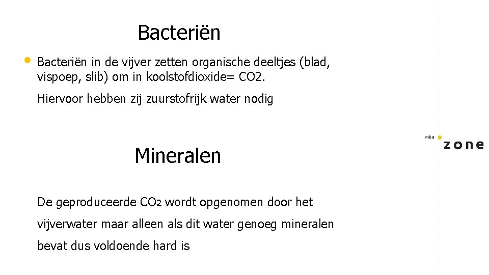 Bacteriën • Bacteriën in de vijver zetten organische deeltjes (blad, vispoep, slib) om in