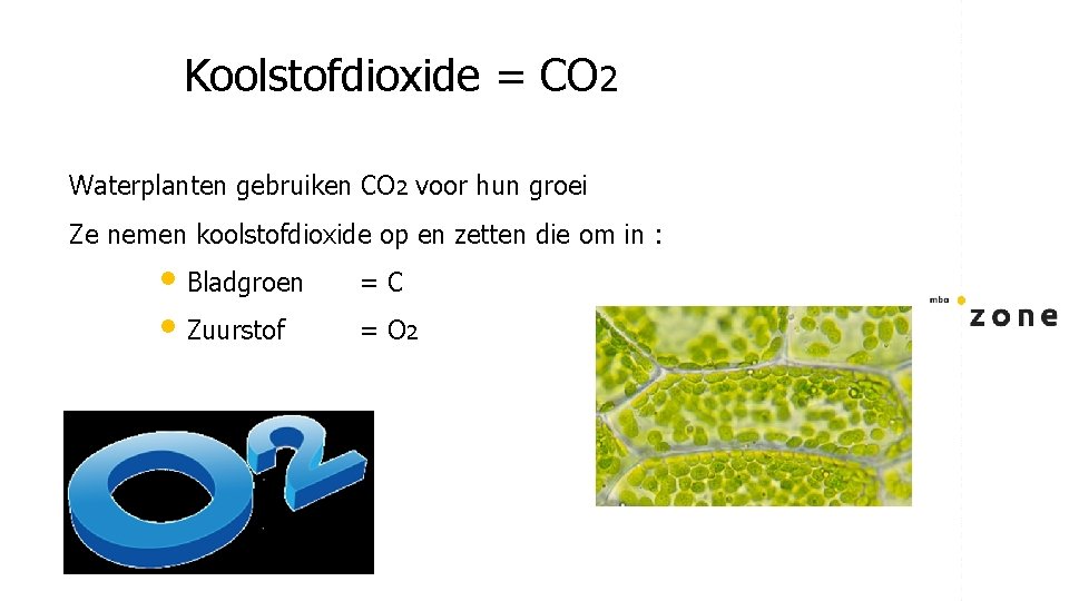 Koolstofdioxide = CO 2 Waterplanten gebruiken CO 2 voor hun groei Ze nemen koolstofdioxide