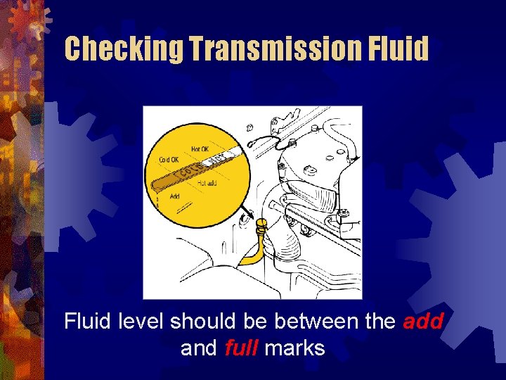Checking Transmission Fluid level should be between the add and full marks 