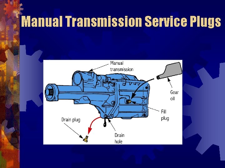 Manual Transmission Service Plugs 