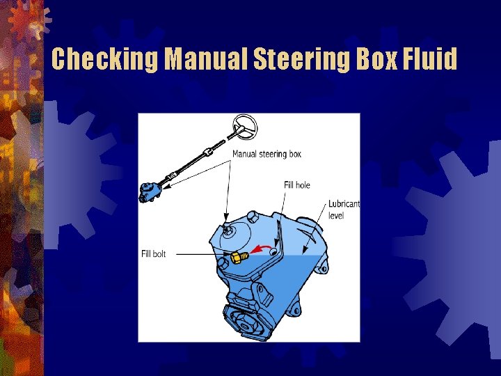 Checking Manual Steering Box Fluid 